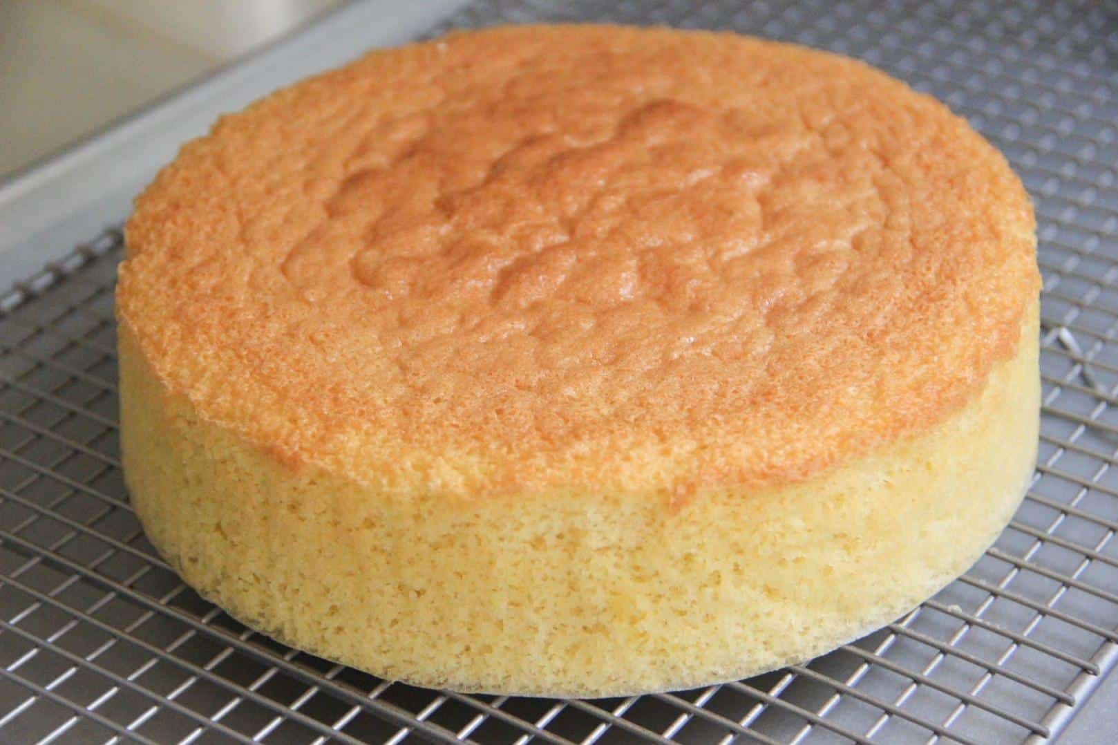 Aunt Ida's Passover Sponge Cake