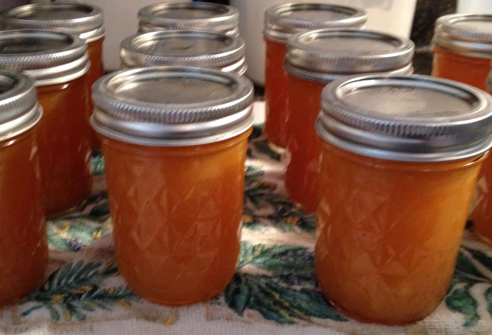 Delicious Cantaloupe Peach Jam Recipe for Breakfast Delight