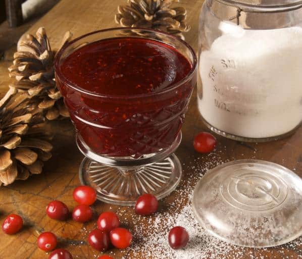 Mouthwatering Cranberry Puree Recipe for Festive Season