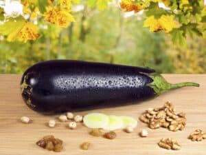 Eggplant Walnut Pate by Dr Andrew Weil
