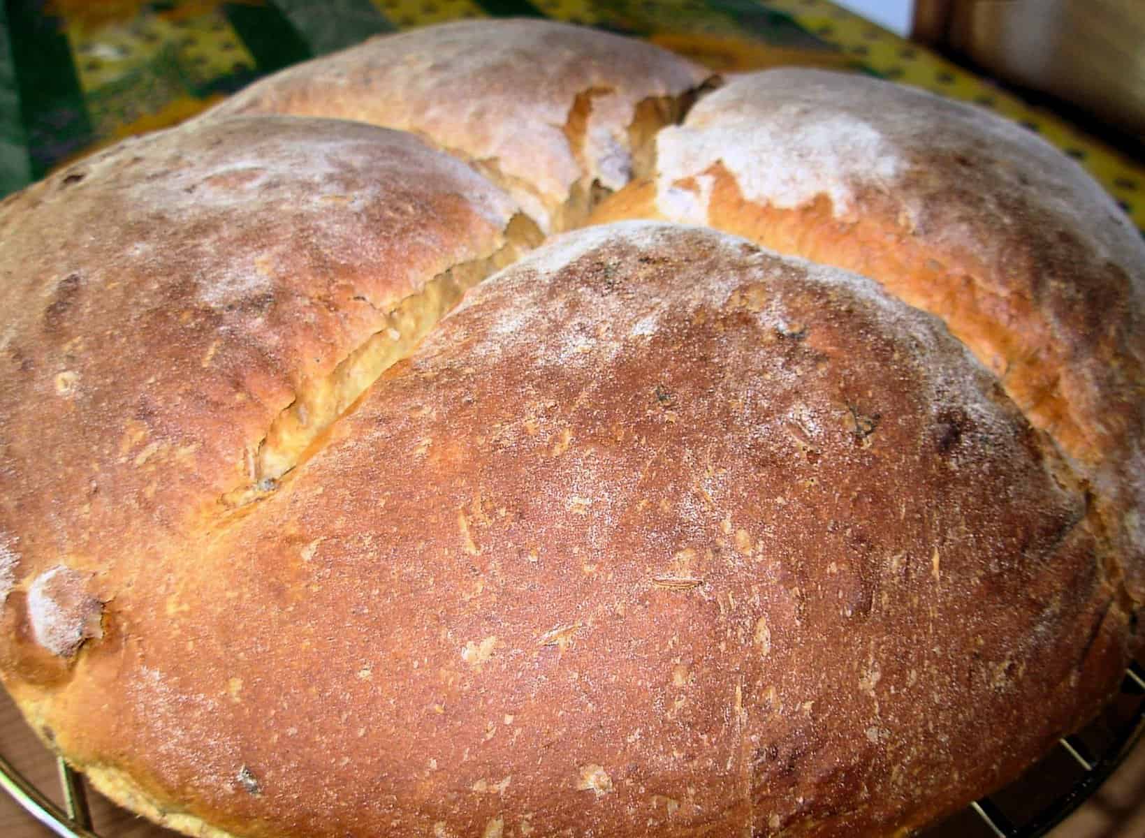  Freshly baked olive-rosemary bread, hot out of the oven