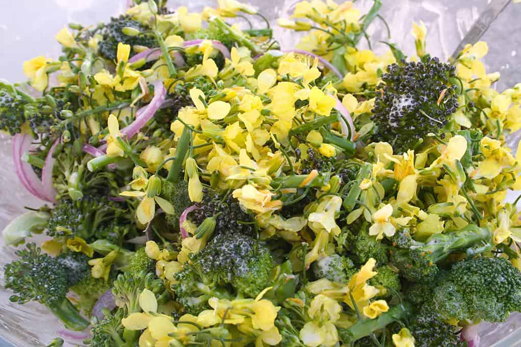  Get your daily dose of greens with these delicious broccoli flowers.