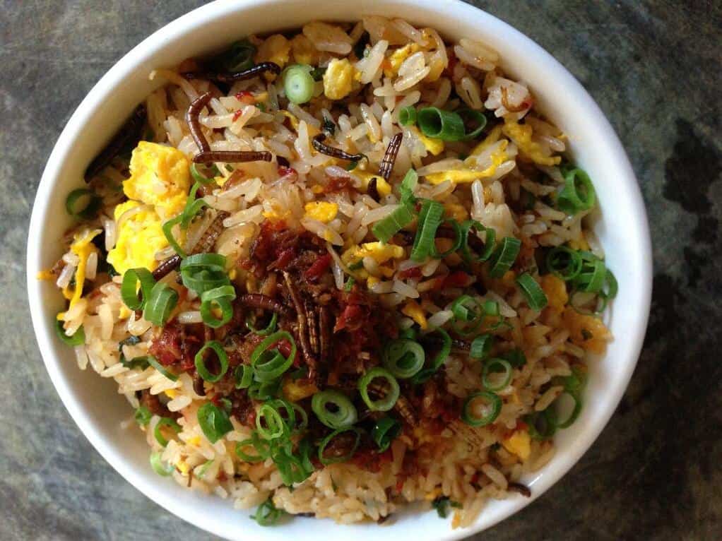 Mealworm Fried Rice
