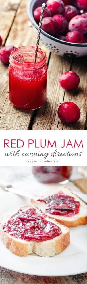 Plum Jam W/Canning Directions