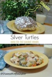 Richard's Silver Turtles