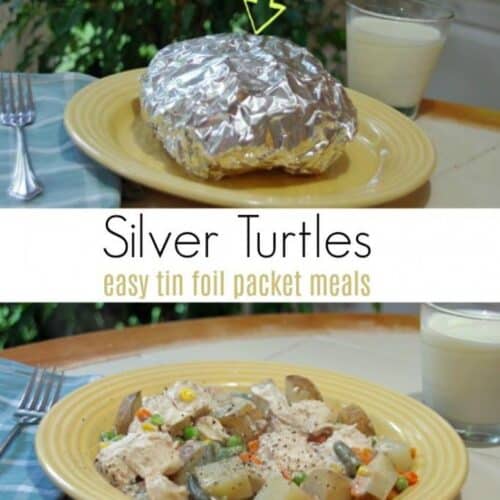 Richard's Silver Turtles