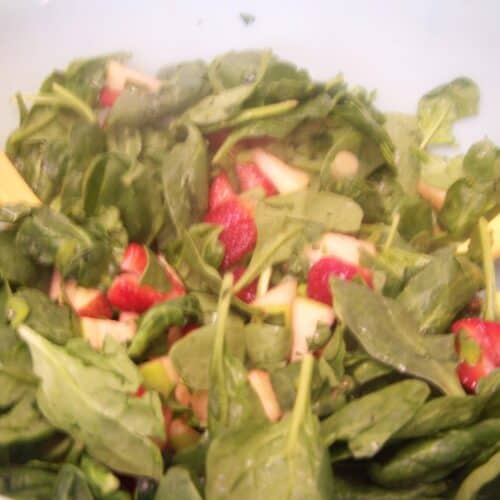Spinach and Fruit Salsa Salad