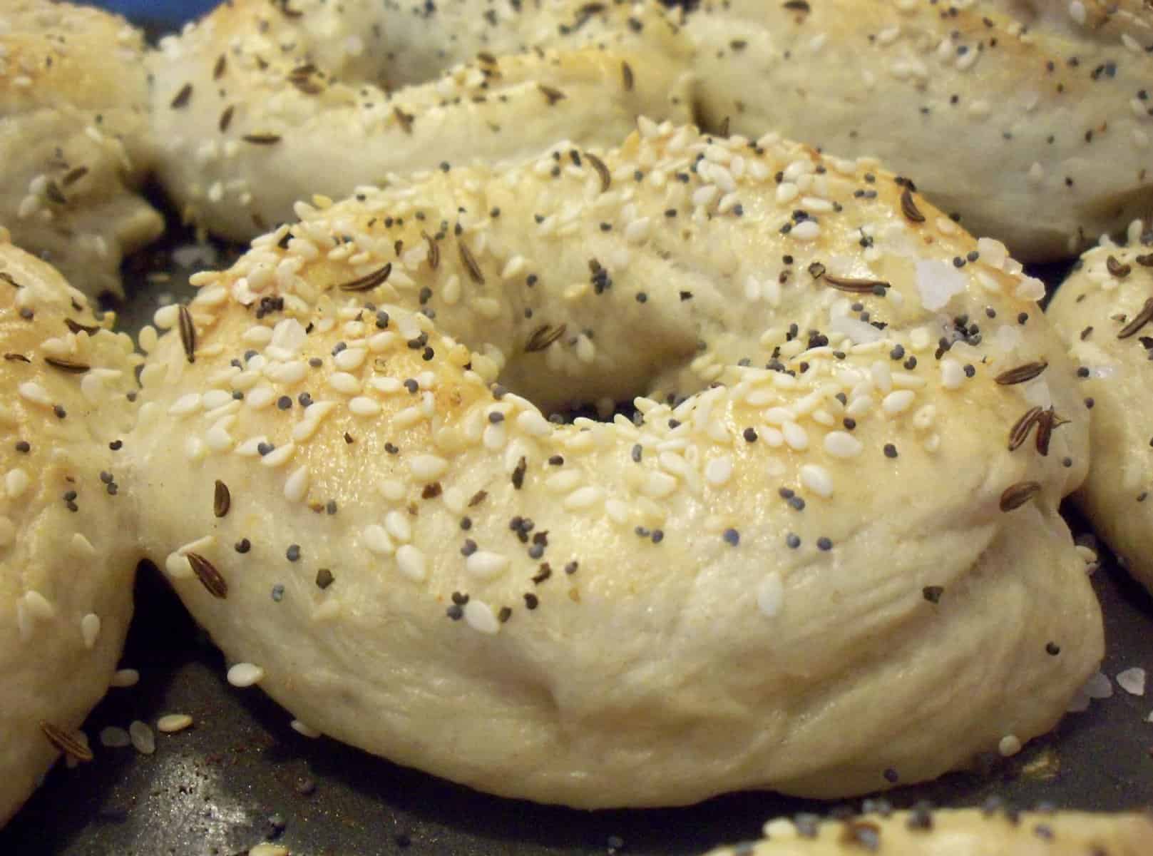  These bagels are the perfect breakfast treat!