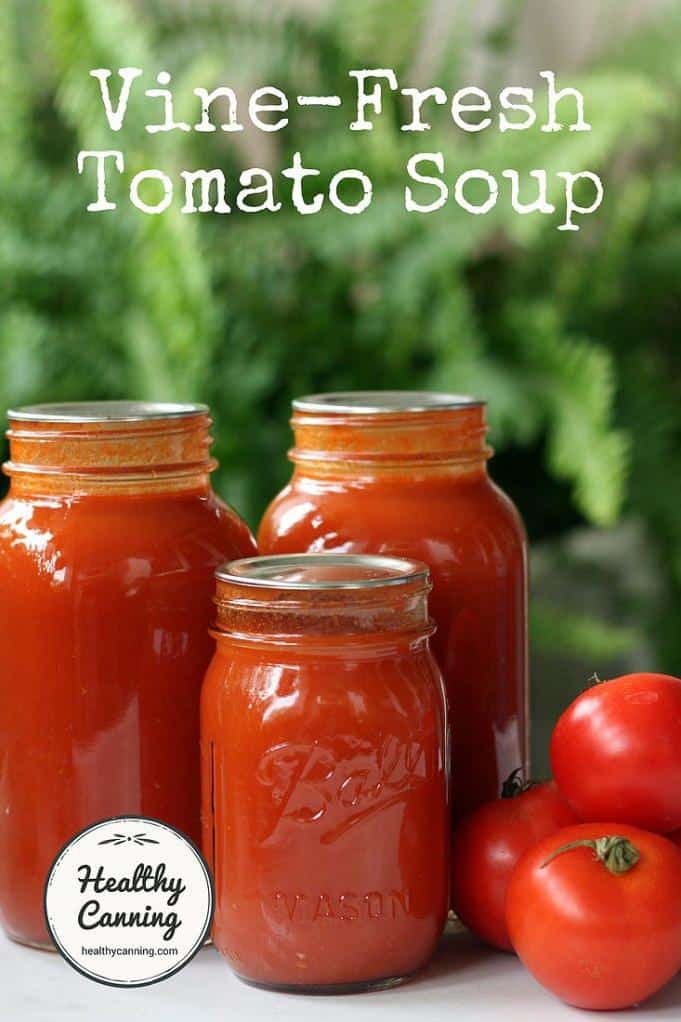 Delicious and Comforting Tomato Soup Recipe